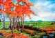 37 - Doreen McKerracher - Landscape - Pastel.JPG